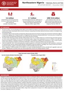 Northeastern Nigeria | Adamawa, Borno and Yobe SITUATION REPORT – December 2020